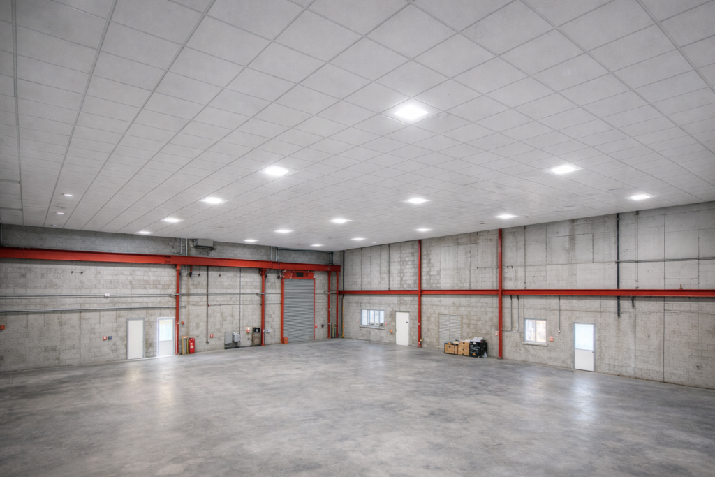 chatgpt image feb 3, 2026, 03 41 27 pm